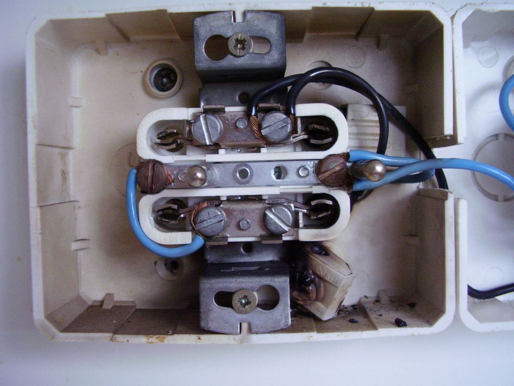 P5290010